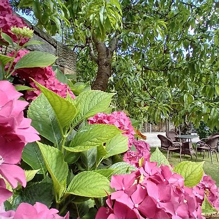 Picos De Europa Suites And Rooms Turieno Екстериор снимка