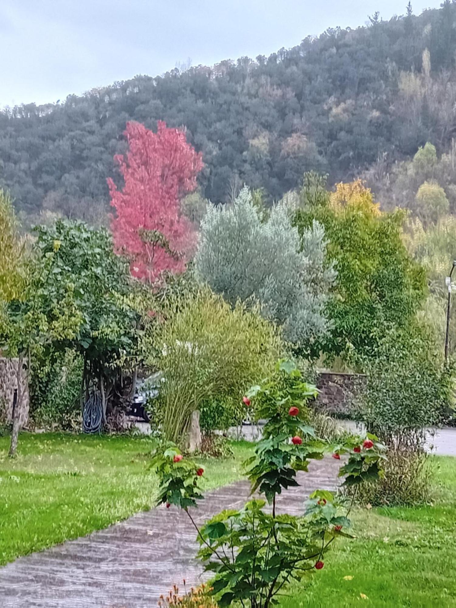 Picos De Europa Suites And Rooms Turieno Екстериор снимка