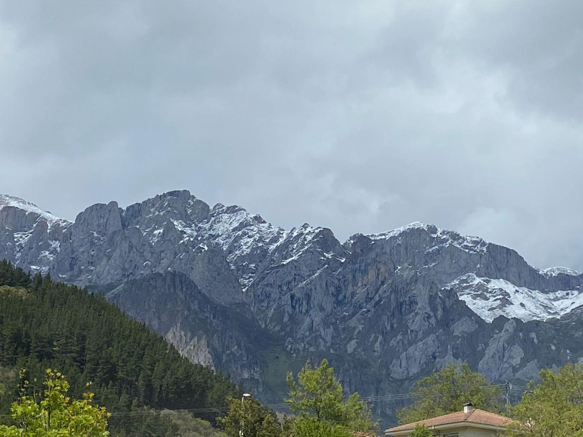 Picos De Europa Suites And Rooms Turieno Екстериор снимка