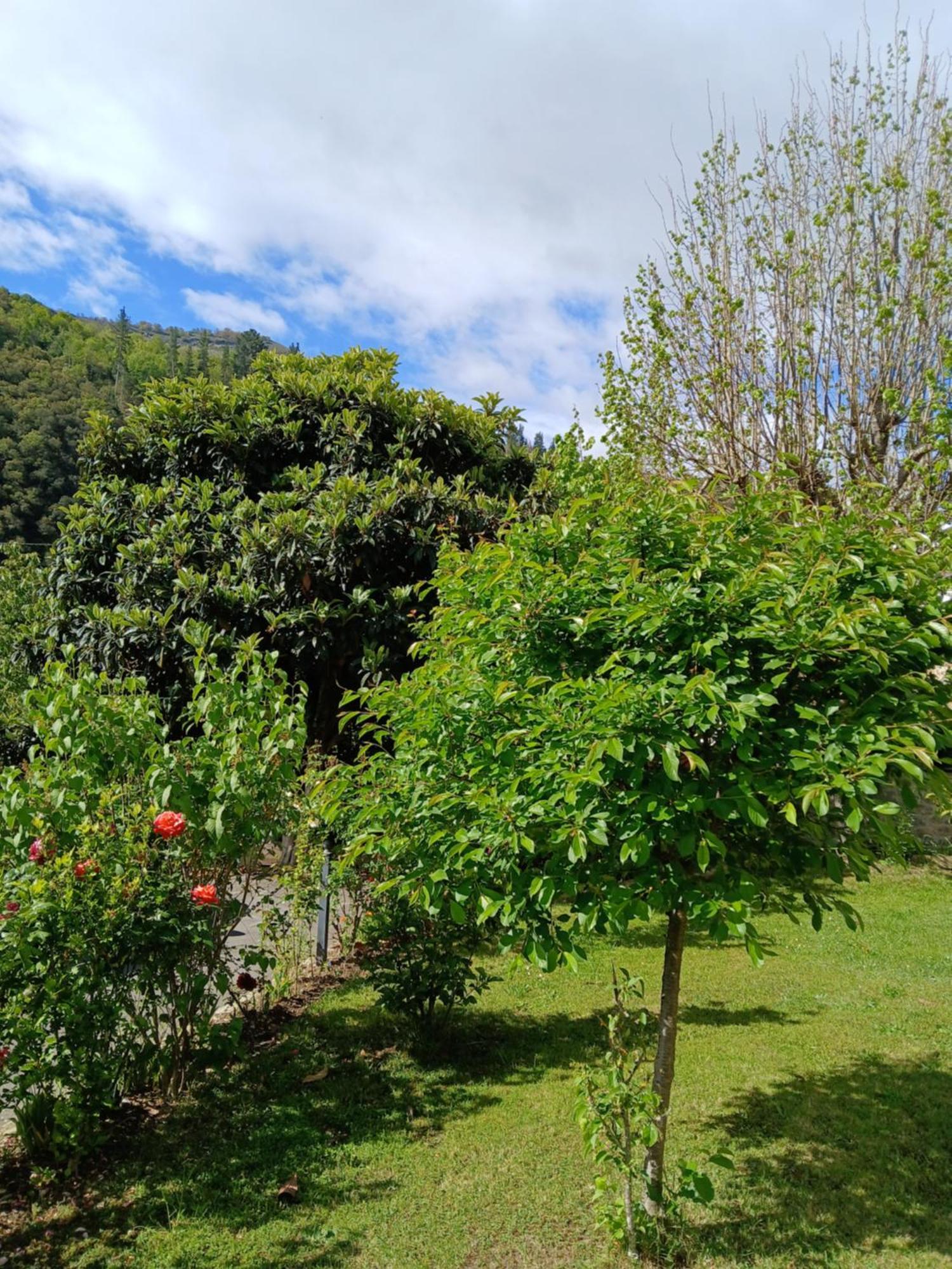 Picos De Europa Suites And Rooms Turieno Екстериор снимка