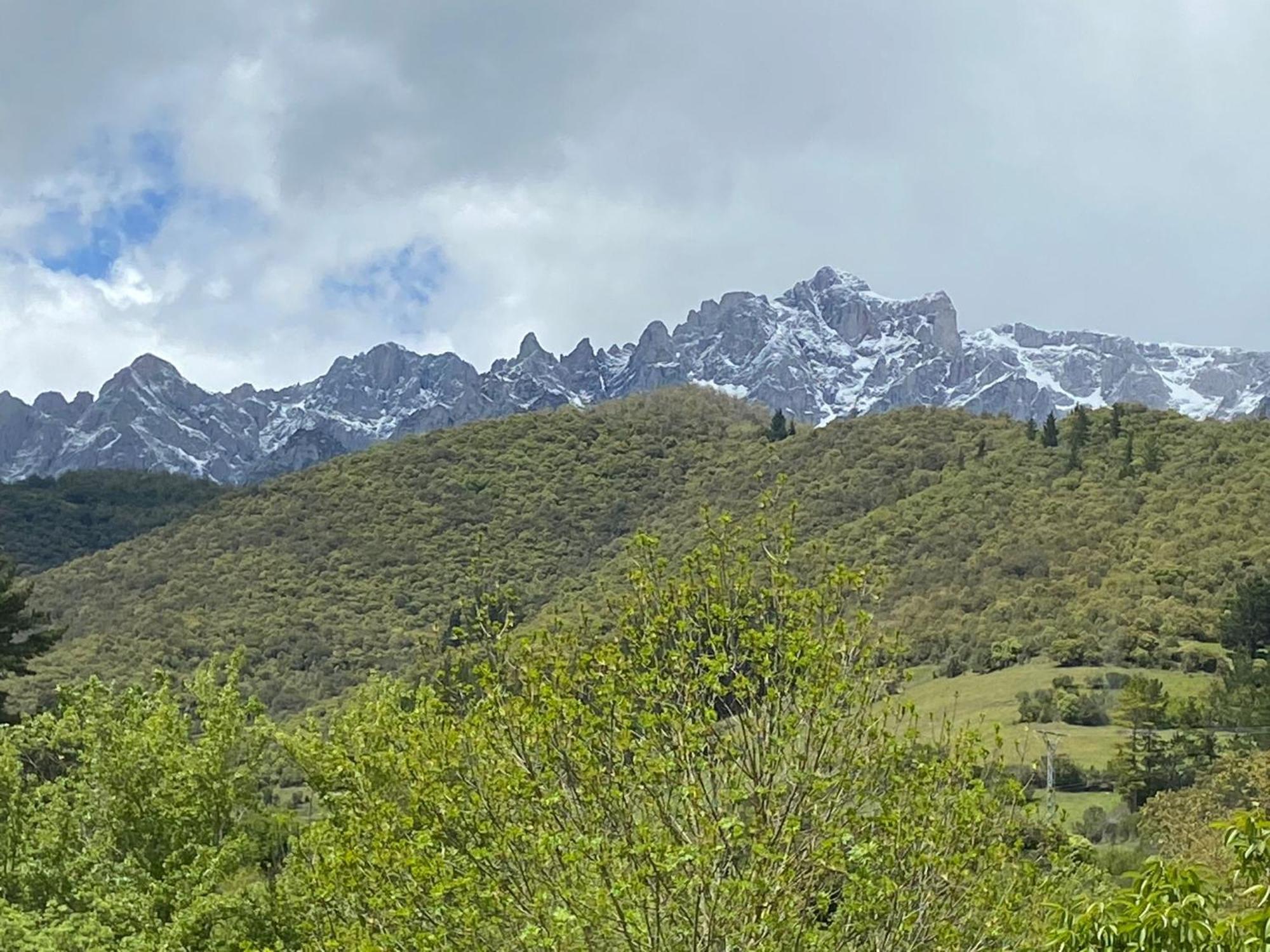 Picos De Europa Suites And Rooms Turieno Екстериор снимка