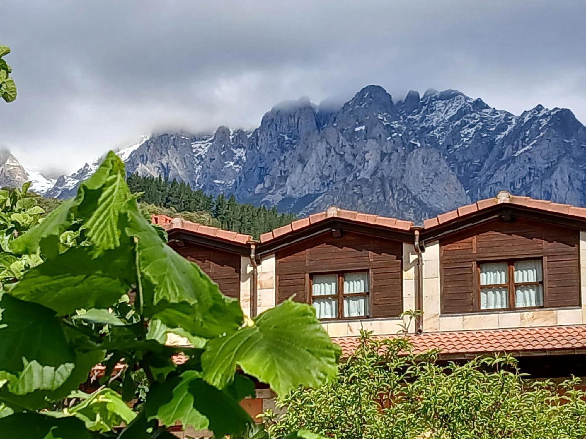 Picos De Europa Suites And Rooms Turieno Екстериор снимка