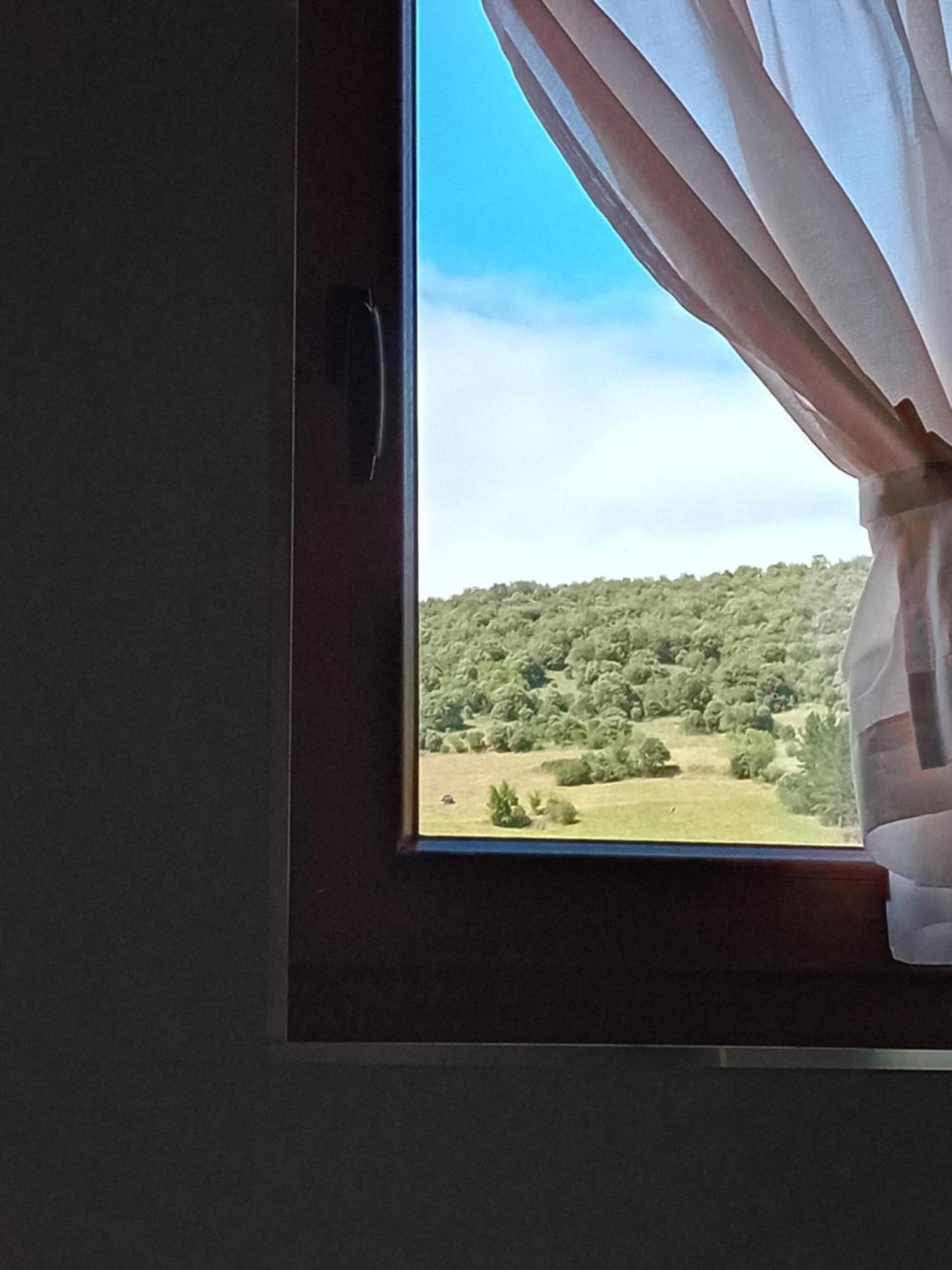 Picos De Europa Suites And Rooms Turieno Екстериор снимка