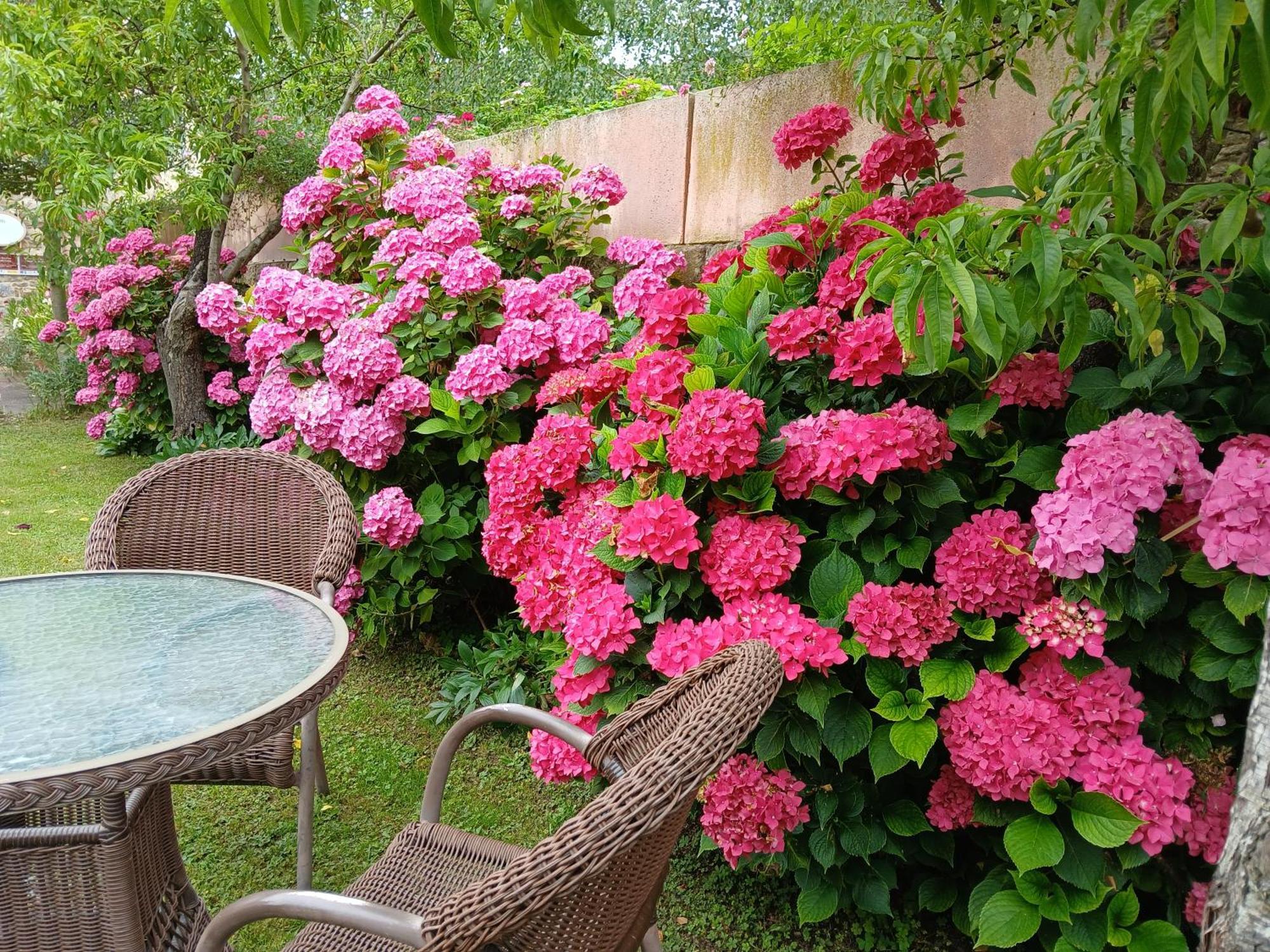 Picos De Europa Suites And Rooms Turieno Екстериор снимка