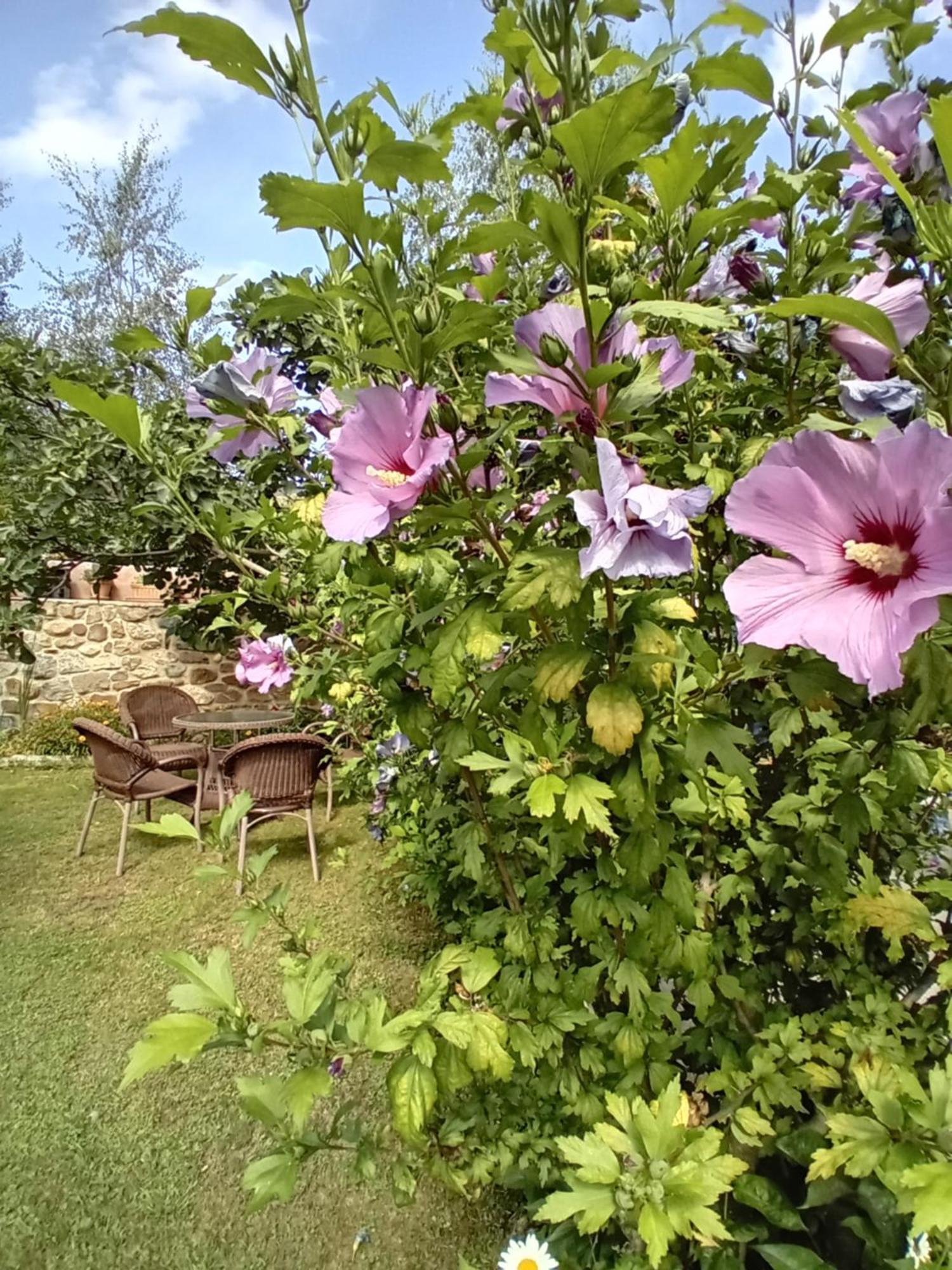 Picos De Europa Suites And Rooms Turieno Екстериор снимка
