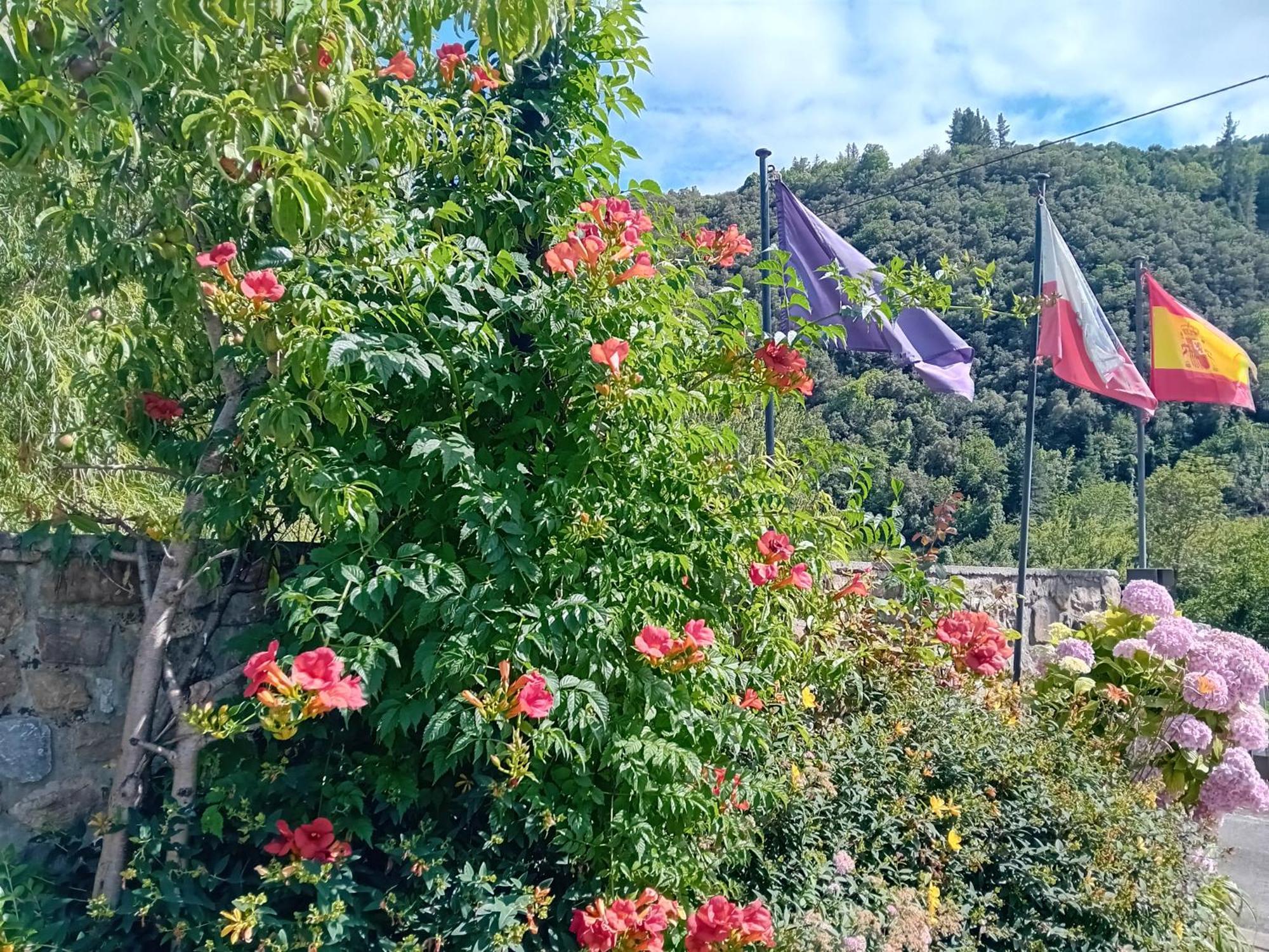 Picos De Europa Suites And Rooms Turieno Екстериор снимка