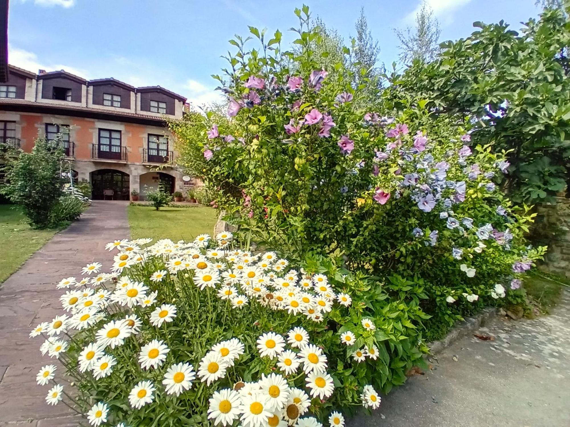 Picos De Europa Suites And Rooms Turieno Екстериор снимка